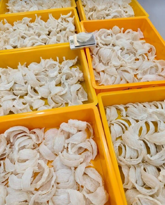 Sorted Nest Batches