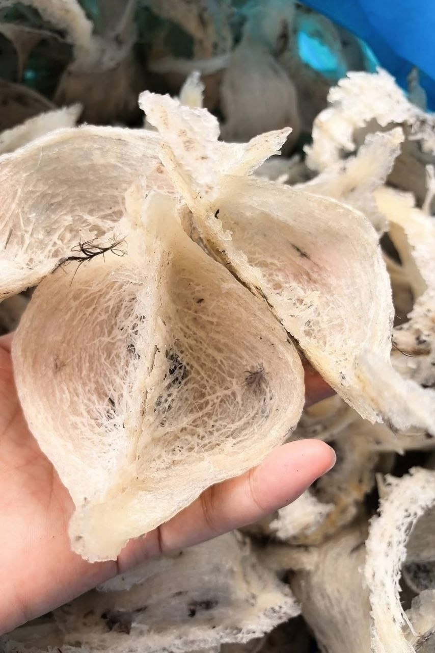 Raw Nest Texture Close-Up